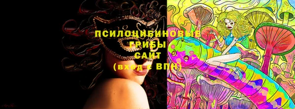 гашик Красноперекопск