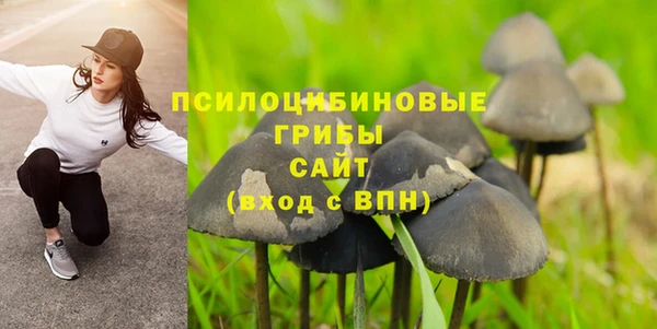 гашик Красноперекопск