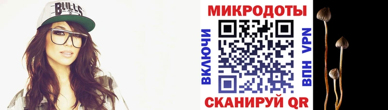 Купить  Апрелевка  Псилоцибиновые грибы MAGIC MUSHROOMS 
